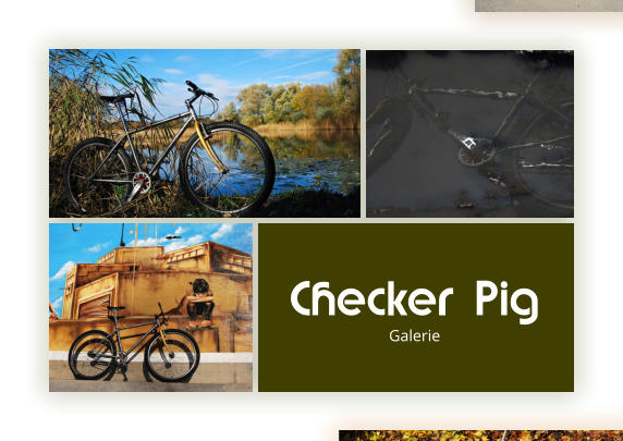 Checker Pig Galerie
